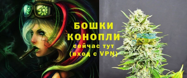 ПСИЛОЦИБИНОВЫЕ ГРИБЫ Аркадак