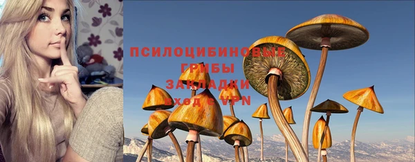 ПСИЛОЦИБИНОВЫЕ ГРИБЫ Аркадак